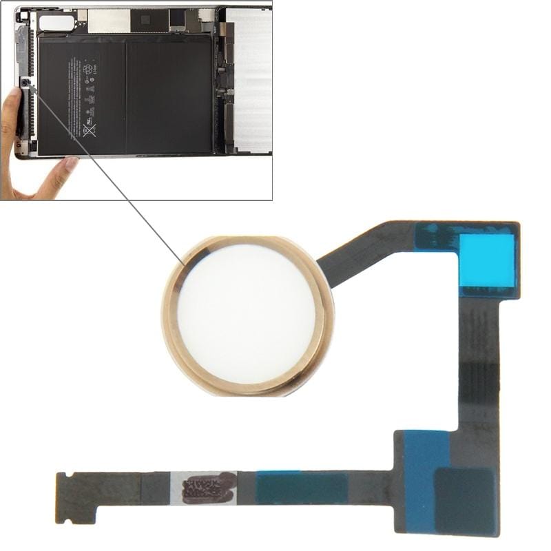 Original Home Button Flex Cable for iPad Air 2 / 6 (Gold)