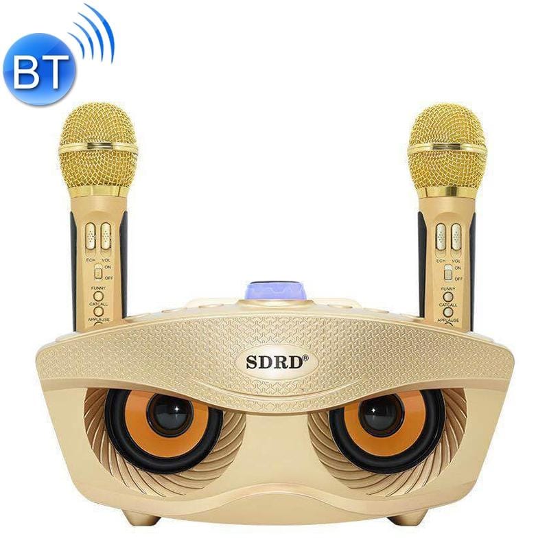 SD-306 2 in 1 Family KTV Portable Wireless Live Dual Microphone + Bluetooth Speaker (Gold)